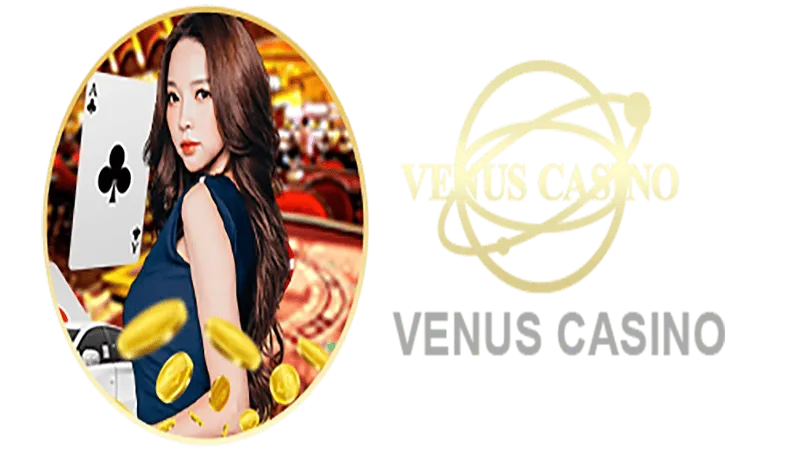 1 WIN Informações básicas sobre o saguão do cassino Venus